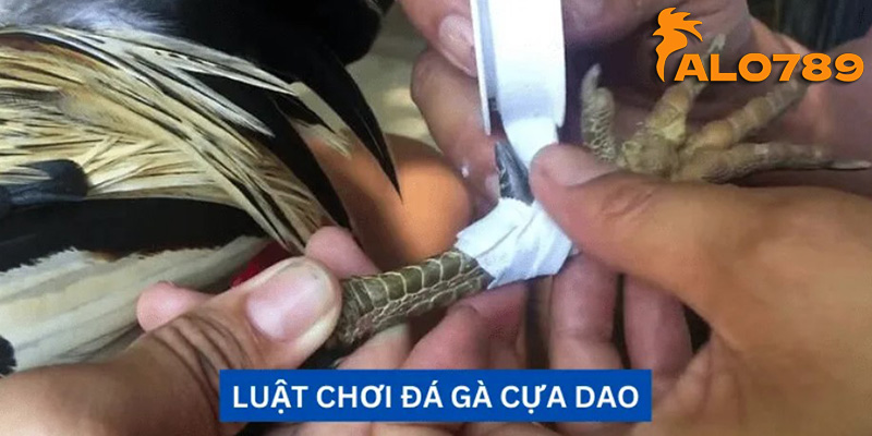 Thư giãn và giải trí